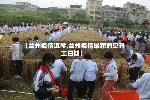 【台州疫情道琴,台州疫情最新消息开工日期】-第2张图片