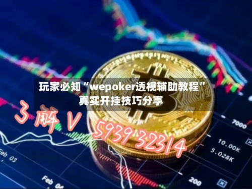玩家必知“wepoker透视辅助教程”真实开挂技巧分享-第3张图片