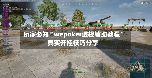 玩家必知“wepoker透视辅助教程”真实开挂技巧分享-第2张图片