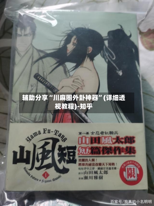 辅助分享“川麻圈外卦神器”(详细透视教程)-知乎-第2张图片