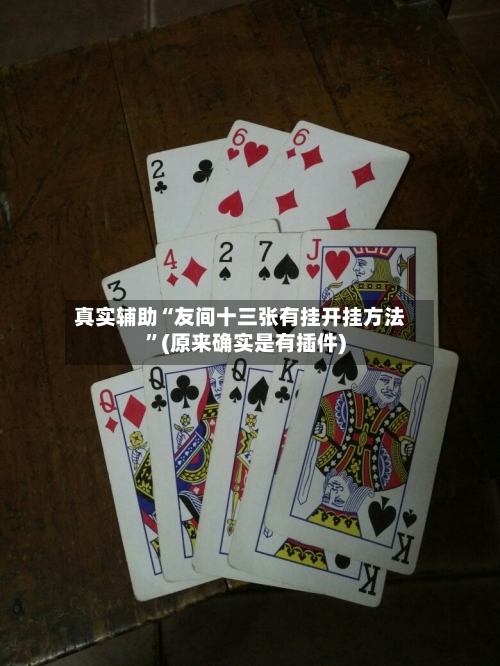 真实辅助“友间十三张有挂开挂方法	”(原来确实是有插件)-第2张图片