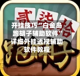开挂技巧“白金岛跑胡子辅助软件”详细外挂透视辅助软件教程-第2张图片