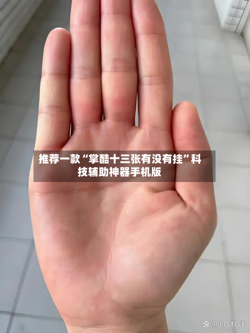 推荐一款“掌酷十三张有没有挂”科技辅助神器手机版-第2张图片