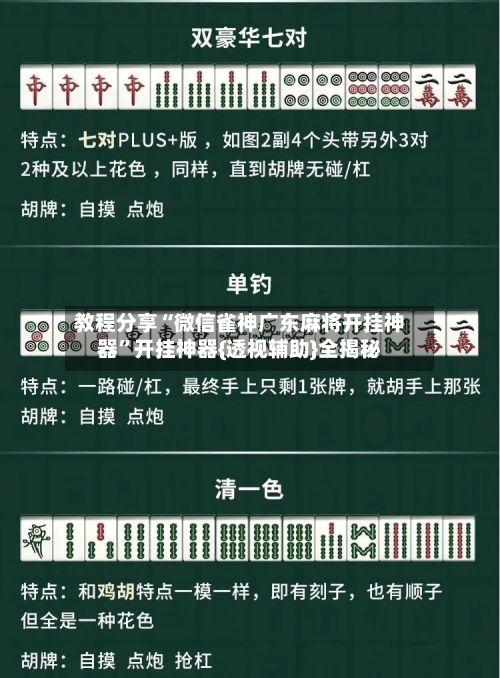 教程分享“微信雀神广东麻将开挂神器	”开挂神器{透视辅助}全揭秘-第2张图片