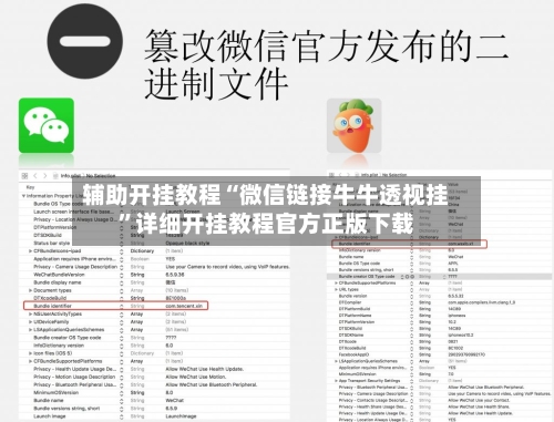 辅助开挂教程“微信链接牛牛透视挂”详细开挂教程官方正版下载-第2张图片