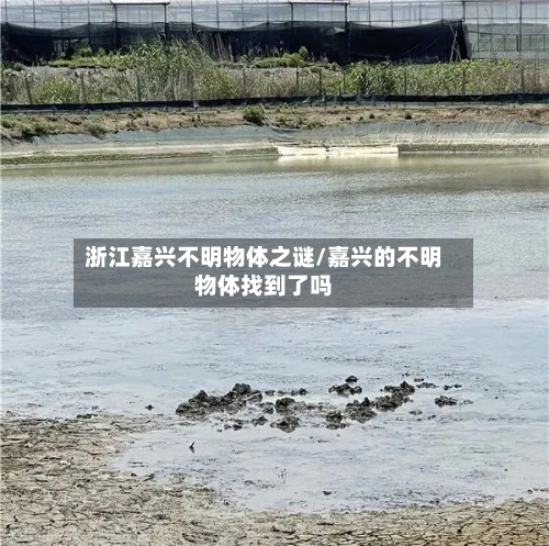 浙江嘉兴不明物体之谜/嘉兴的不明物体找到了吗
