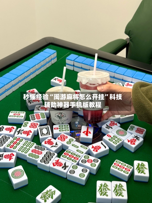 秒懂经验“闽游麻将怎么开挂	”科技辅助神器手机版教程-第2张图片