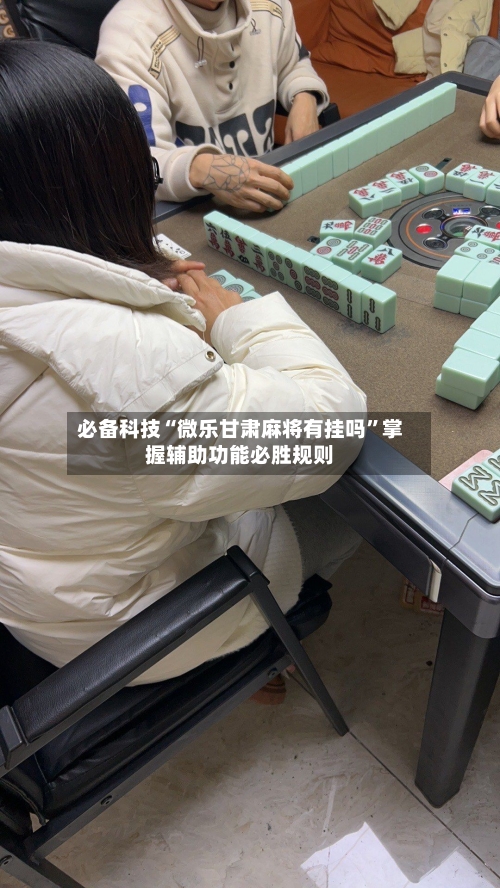 必备科技“微乐甘肃麻将有挂吗	”掌握辅助功能必胜规则-第2张图片