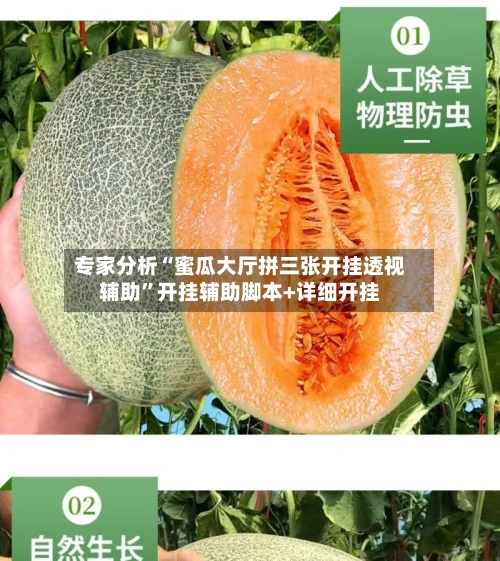 专家分析“蜜瓜大厅拼三张开挂透视辅助”开挂辅助脚本+详细开挂-第2张图片