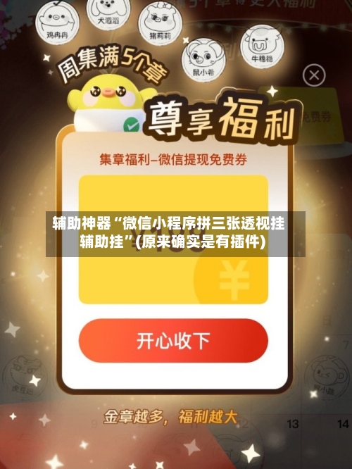 辅助神器“微信小程序拼三张透视挂辅助挂”(原来确实是有插件)-第3张图片