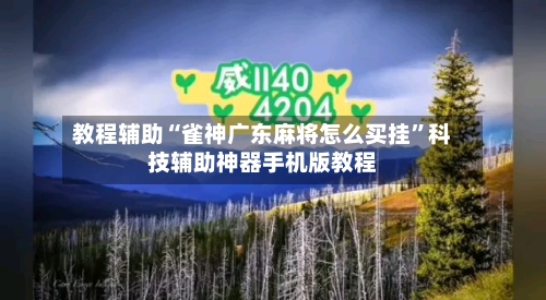 教程辅助“雀神广东麻将怎么买挂”科技辅助神器手机版教程