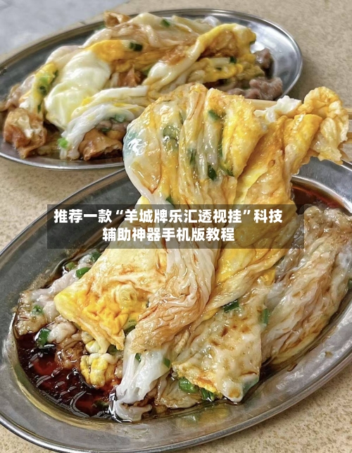 推荐一款“羊城牌乐汇透视挂”科技辅助神器手机版教程-第3张图片