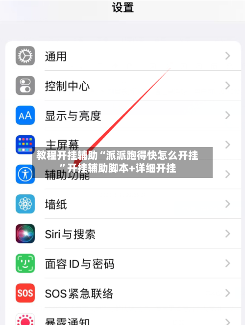 教程开挂辅助“派派跑得快怎么开挂”开挂辅助脚本+详细开挂-第2张图片