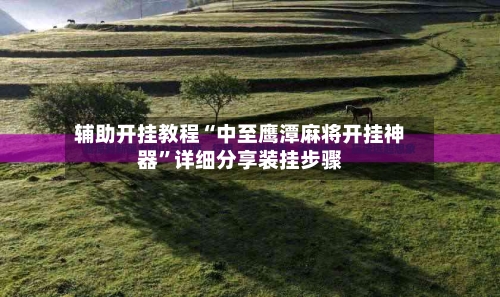辅助开挂教程“中至鹰潭麻将开挂神器”详细分享装挂步骤-第3张图片