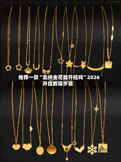 推荐一款“血拼金花能开挂吗”2026开挂教程步骤-第2张图片