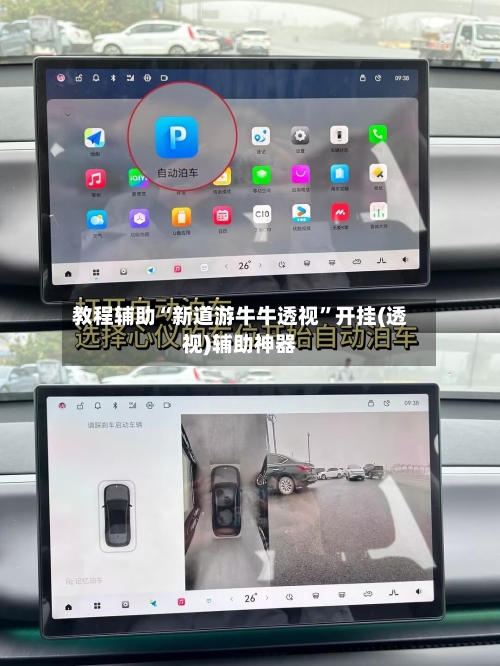 教程辅助“新道游牛牛透视”开挂(透视)辅助神器-第2张图片