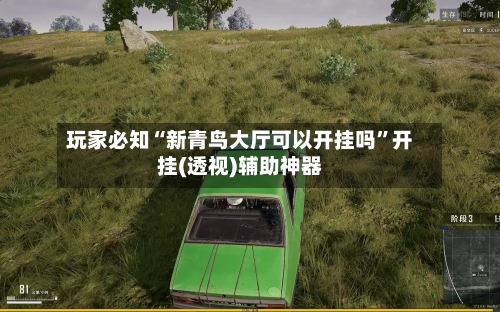 玩家必知“新青鸟大厅可以开挂吗”开挂(透视)辅助神器