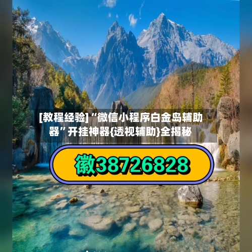 [教程经验]“微信小程序白金岛辅助器	”开挂神器{透视辅助}全揭秘-第3张图片