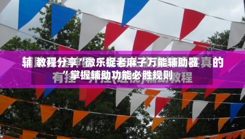 教程分享“微乐捉老麻子万能辅助器”掌握辅助功能必胜规则