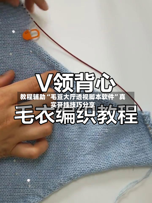 教程辅助“毛豆大厅透视脚本软件”真实开挂技巧分享