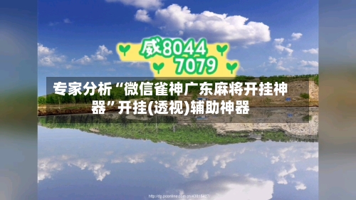 专家分析“微信雀神广东麻将开挂神器”开挂(透视)辅助神器-第2张图片