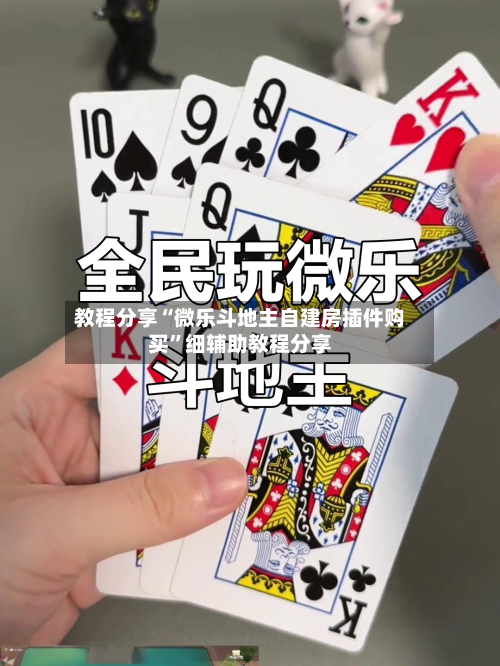 教程分享“微乐斗地主自建房插件购买	”细辅助教程分享-第2张图片