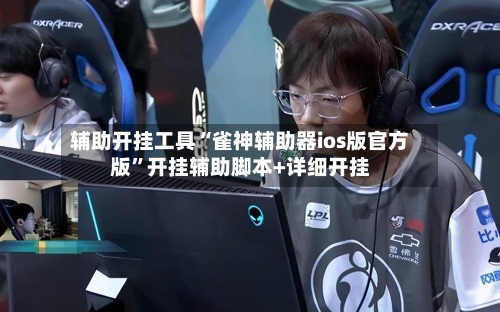 辅助开挂工具“雀神辅助器ios版官方版”开挂辅助脚本+详细开挂-第3张图片