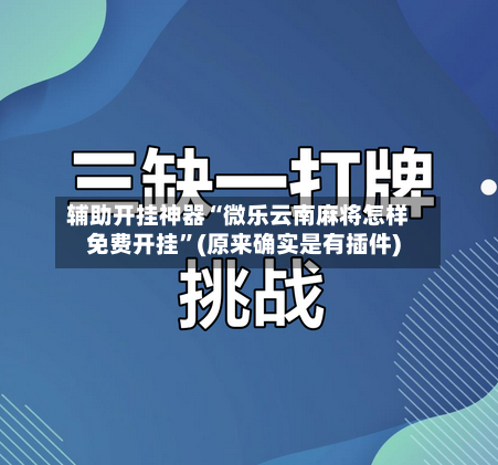 辅助开挂神器“微乐云南麻将怎样免费开挂”(原来确实是有插件)-第2张图片