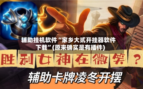 辅助挂机软件“家乡大贰开挂器软件下载”(原来确实是有插件)