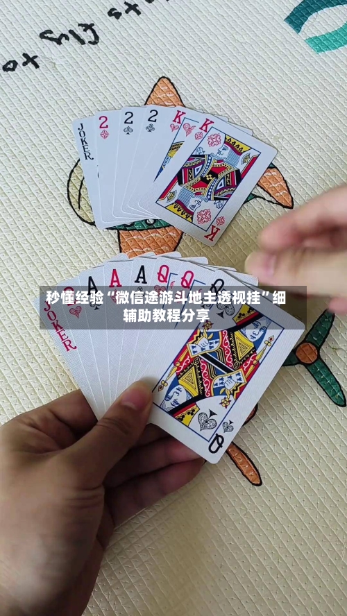 秒懂经验“微信途游斗地主透视挂”细辅助教程分享-第3张图片