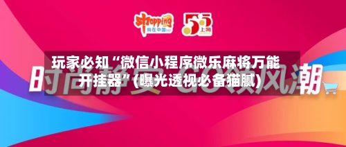 玩家必知“微信小程序微乐麻将万能开挂器	”(曝光透视必备猫腻)-第2张图片