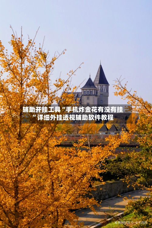 辅助开挂工具“手机炸金花有没有挂”详细外挂透视辅助软件教程-第3张图片