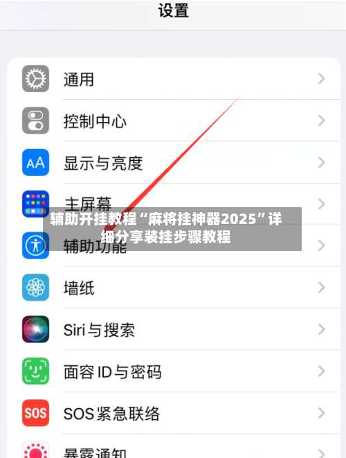 辅助开挂教程“麻将挂神器2025”详细分享装挂步骤教程-第3张图片