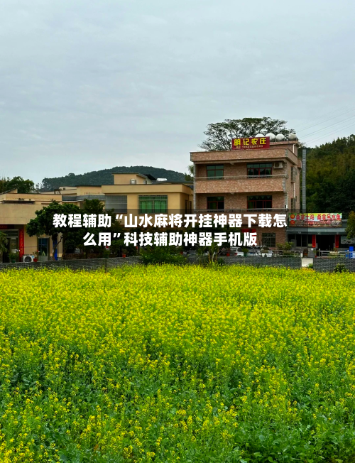 教程辅助“山水麻将开挂神器下载怎么用”科技辅助神器手机版-第2张图片