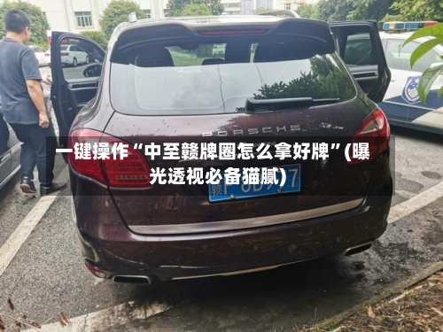 一键操作“中至赣牌圈怎么拿好牌”(曝光透视必备猫腻)-第2张图片