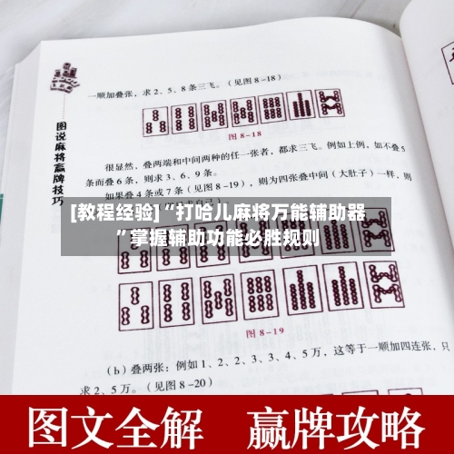 [教程经验]“打哈儿麻将万能辅助器	”掌握辅助功能必胜规则-第2张图片