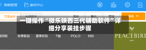 一键操作“微乐陕西三代辅助软件”详细分享装挂步骤-第3张图片