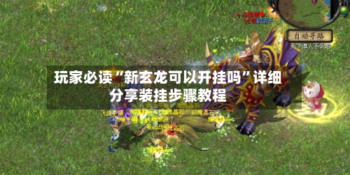 玩家必读“新玄龙可以开挂吗”详细分享装挂步骤教程
