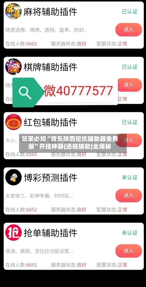 玩家必知“微乐陕西挖坑辅助器免费版	”开挂神器{透视辅助}全揭秘-第3张图片