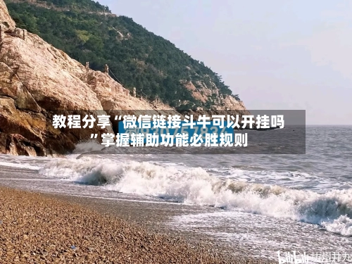教程分享“微信链接斗牛可以开挂吗”掌握辅助功能必胜规则-第3张图片