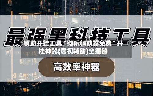 辅助开挂工具“微乐辅助器免费”开挂神器{透视辅助}全揭秘-第2张图片