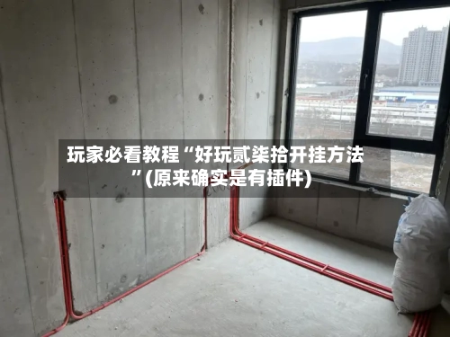 玩家必看教程“好玩贰柒拾开挂方法	”(原来确实是有插件)-第2张图片