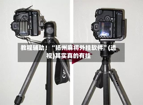 教程辅助！“扬州麻将外挂软件”(透视)其实真的有挂-第2张图片