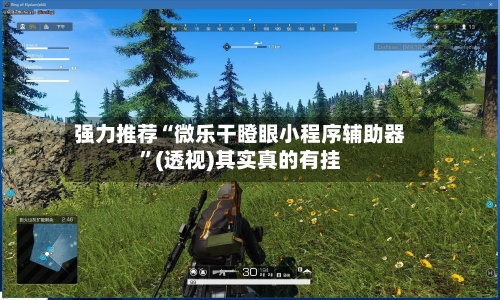 强力推荐“微乐干瞪眼小程序辅助器”(透视)其实真的有挂-第2张图片