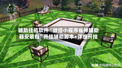 辅助挂机软件“微信小程序雀神辅助器安装包”开挂辅助脚本+详细开挂-第2张图片