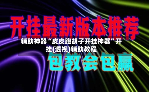 辅助神器“皮皮跑胡子开挂神器”开挂(透视)辅助教程-第2张图片