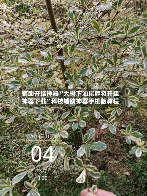 辅助开挂神器“大树下汕尾麻将开挂神器下载	”科技辅助神器手机版教程-第2张图片
