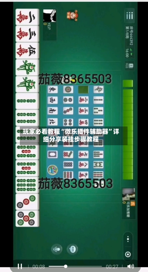 玩家必看教程“微乐插件辅助器”详细分享装挂步骤教程