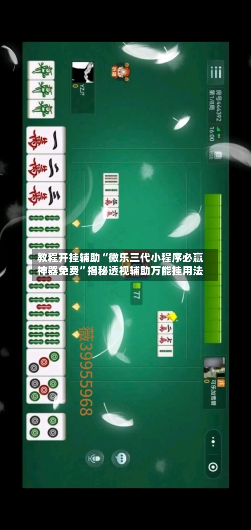 教程开挂辅助“微乐三代小程序必赢神器免费”揭秘透视辅助万能挂用法-第2张图片