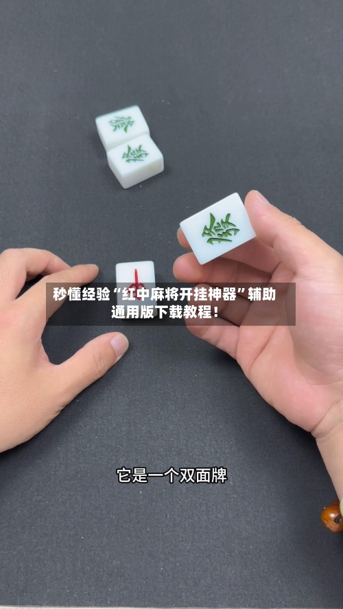 秒懂经验“红中麻将开挂神器”辅助通用版下载教程！